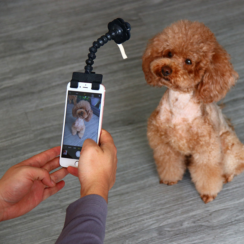 Capture the Perfect Pet Selfie with our Pet Selfie Stick