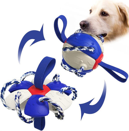 Interactive Dog Soccer Ball Toy for Training and Play