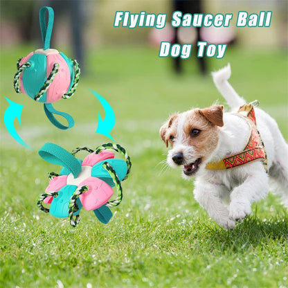 Interactive Dog Soccer Ball Toy for Training and Play