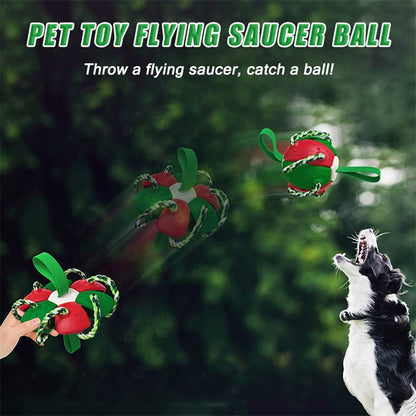 Interactive Dog Soccer Ball Toy for Training and Play