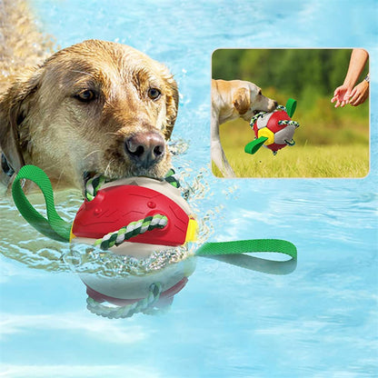 Interactive Dog Soccer Ball Toy for Training and Play