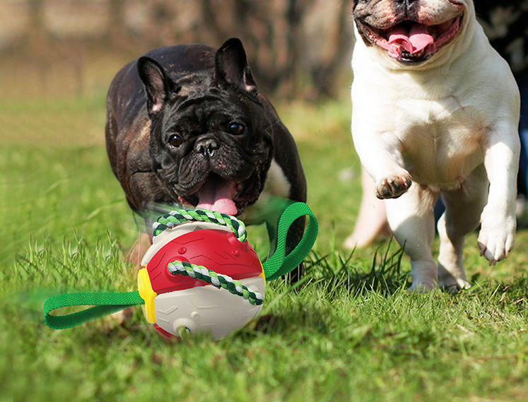 Interactive Dog Soccer Ball Toy for Training and Play